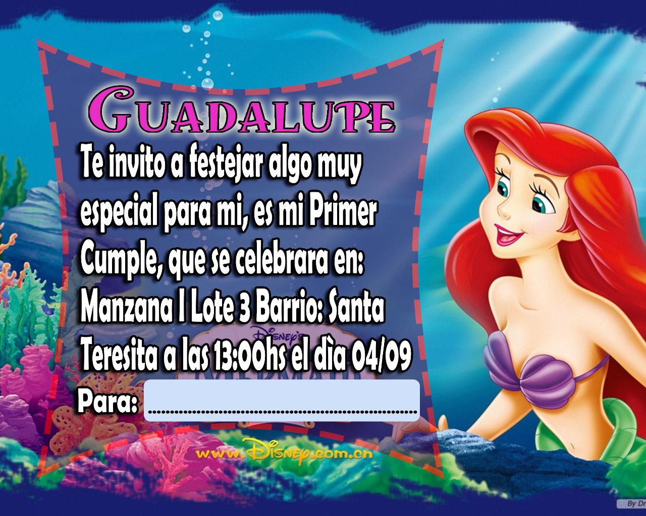 imagen.png